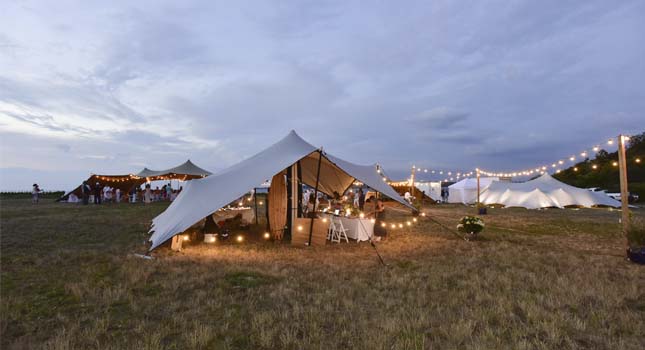 Stretch tent lights: Fairy lights