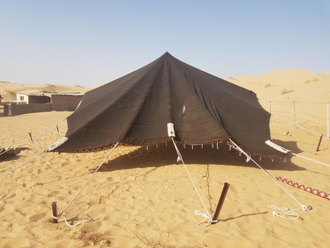 End view of a dark Bedouin tent showing its fabric panels and guy ropes; located in the Middle East