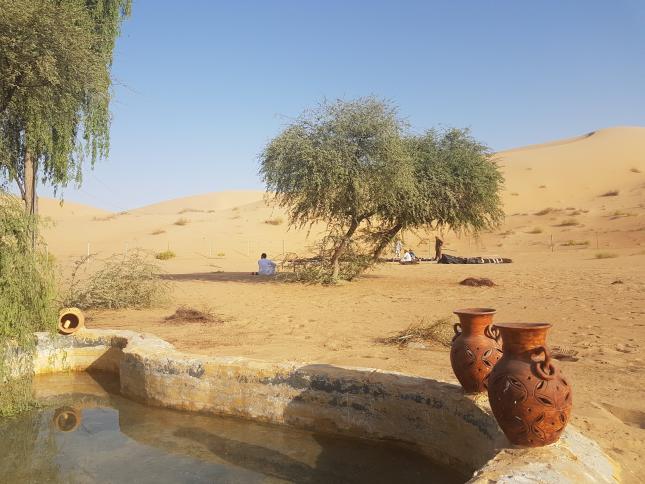 Stone water basin and clay pots beneath trees at a desert campsite; located in the Middle East