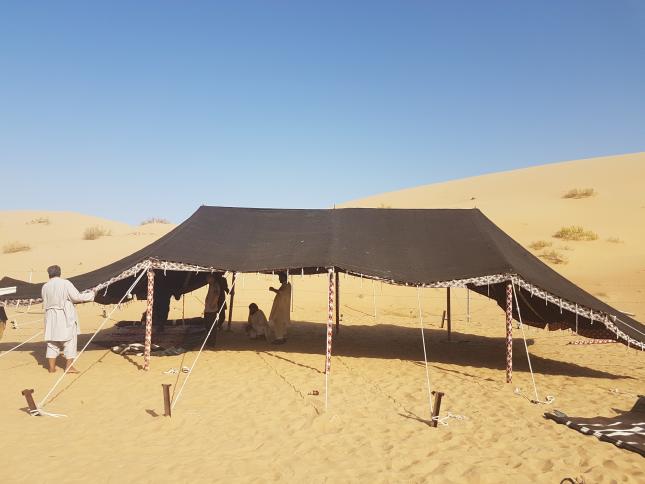 Open-sided dark Bedouin tent with support poles and guy ropes in the desert; located in the Middle East