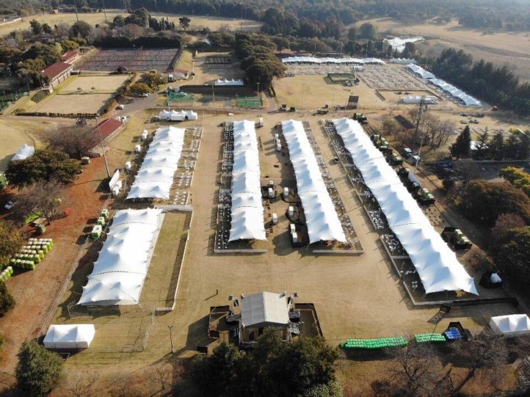 Vue aérienne de longues rangées d’ tentes stretch s blanches alignées sur le site d’un grand événement en plein air