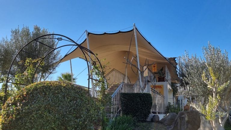 Beige stretch canopy covering an outdoor stair landing among trees