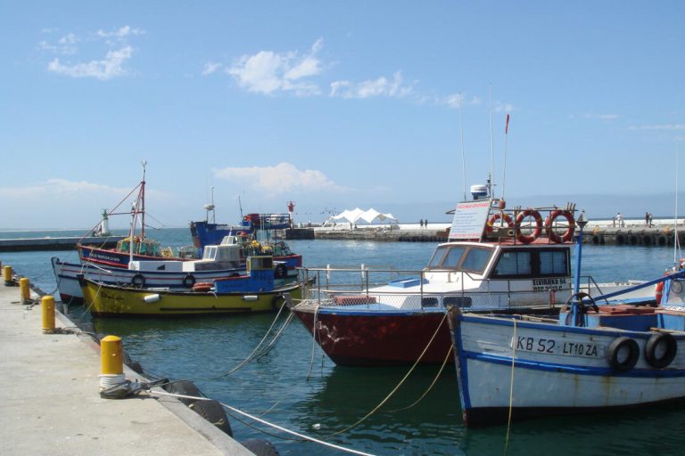 Fonction « Harbour Edge » de RHI, blanche, tente stretch (lien)