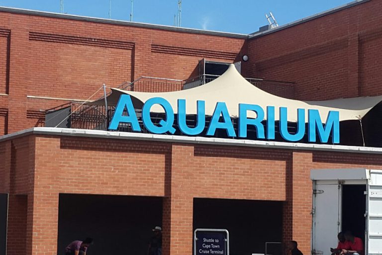RHI a medida Carpa Tensada acuario frente al mar en Chino