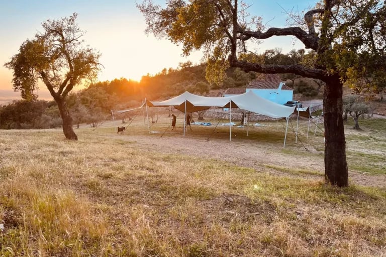 Un « tente stretch » RHI de taille moyenne, installé parmi les arbres à l'occasion d'un événement en plein air en Espagne