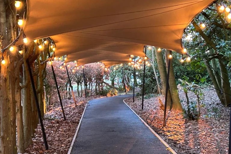 Pasarela cubierta en el bosque formada por una estructura tensada iluminada de RHI Hypar